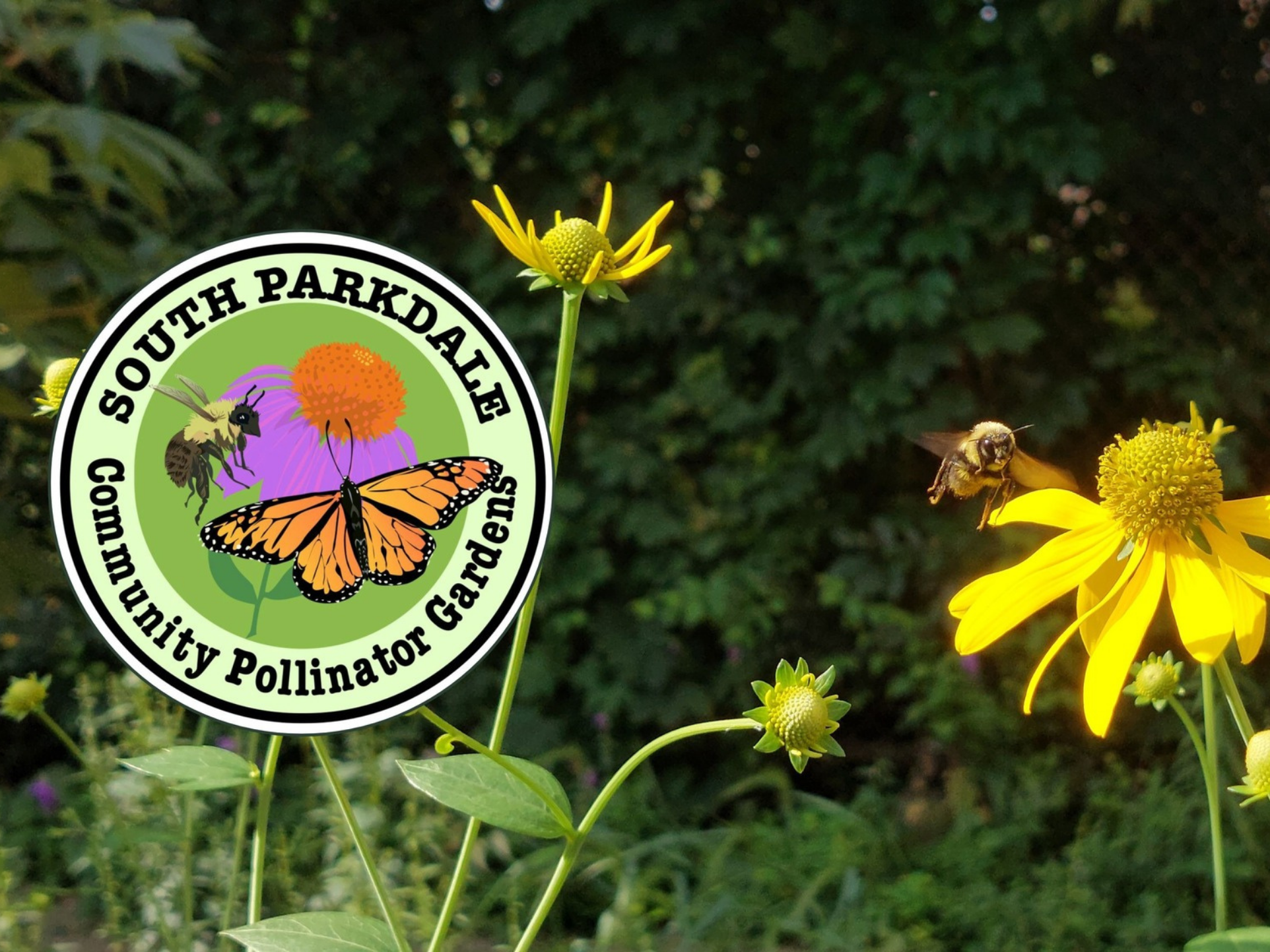 Returning Parkdale to its Roots 